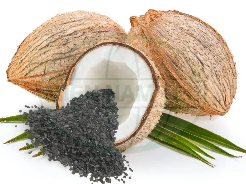 Than Hoạt Tính Là Gì? Ứng Dụng Và Lưu Ý Khi Sử Dụng