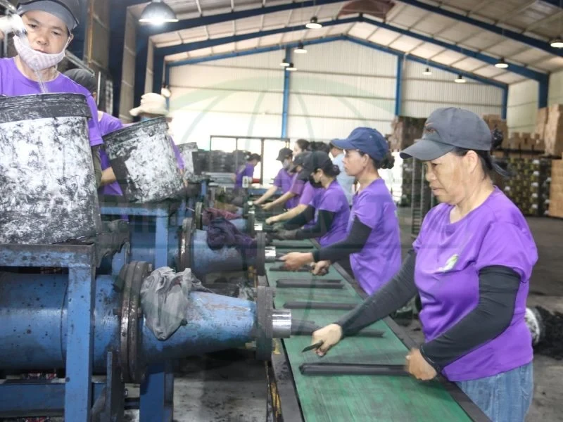 than hoạt tính bến tre