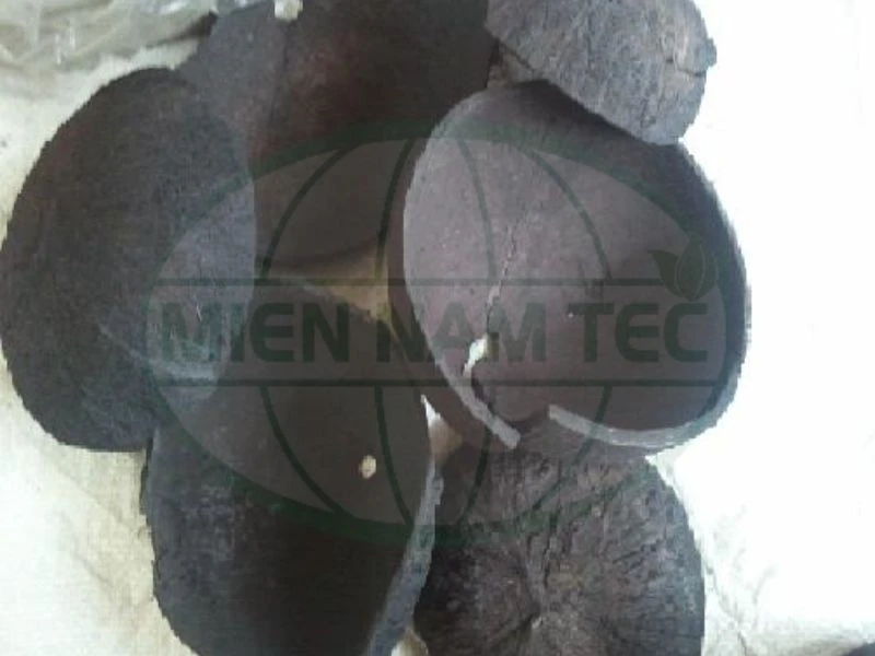than hoạt tính gáo dừa Bến Tre