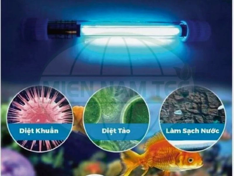 đèn uv có hại không