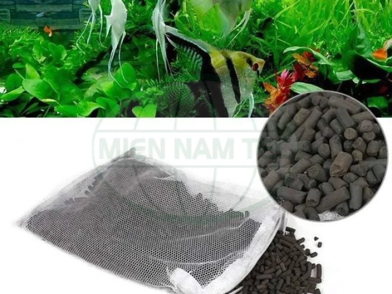 than lọc nước