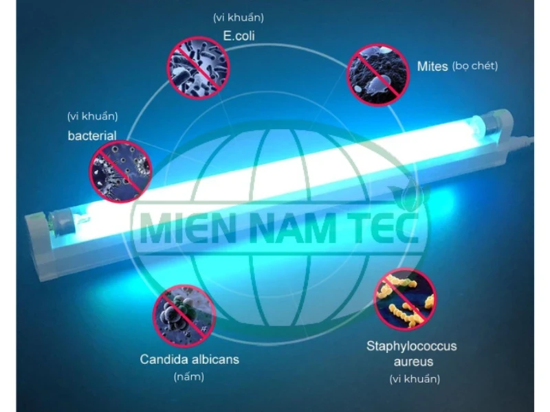 Đèn UV trong công nghiệp thực phẩm 
