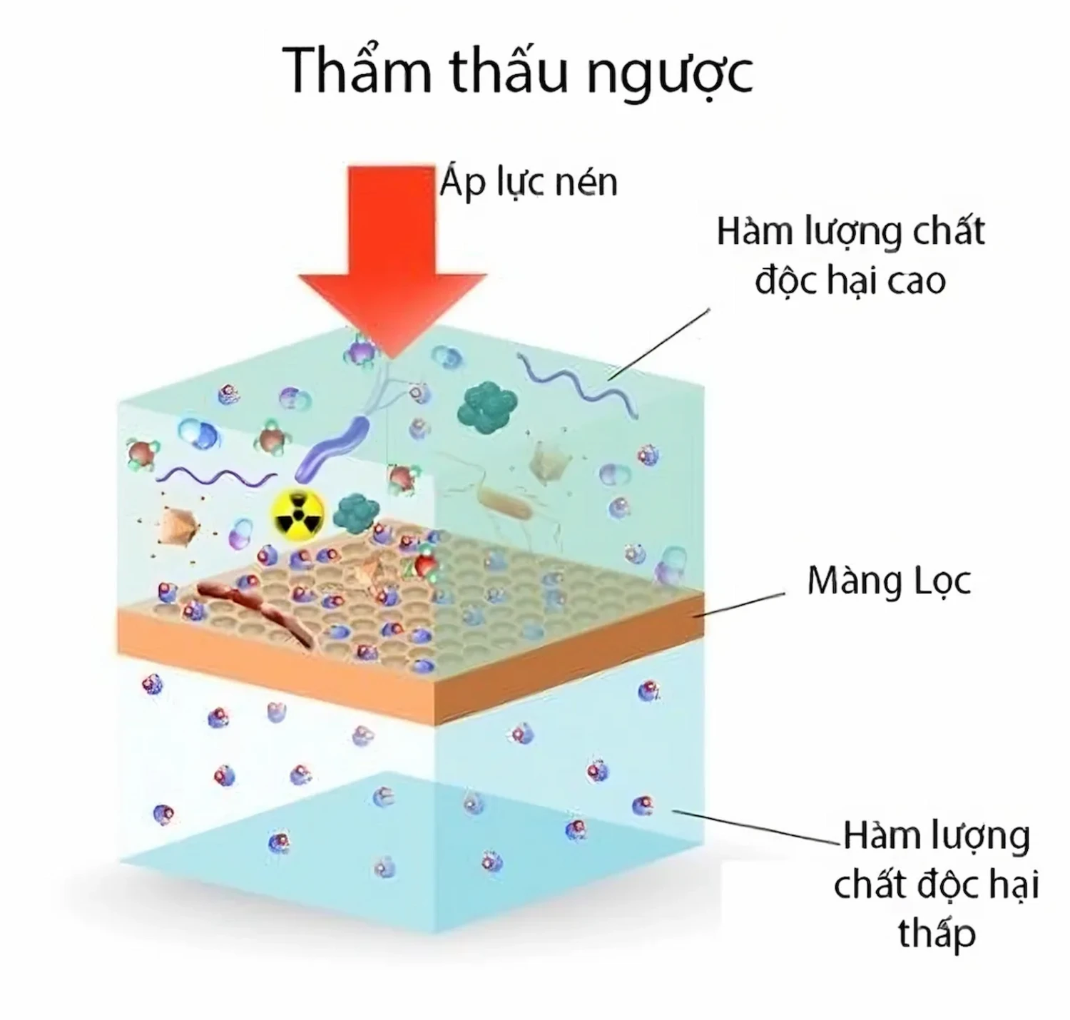 Thẩm thấu ngược là gì?