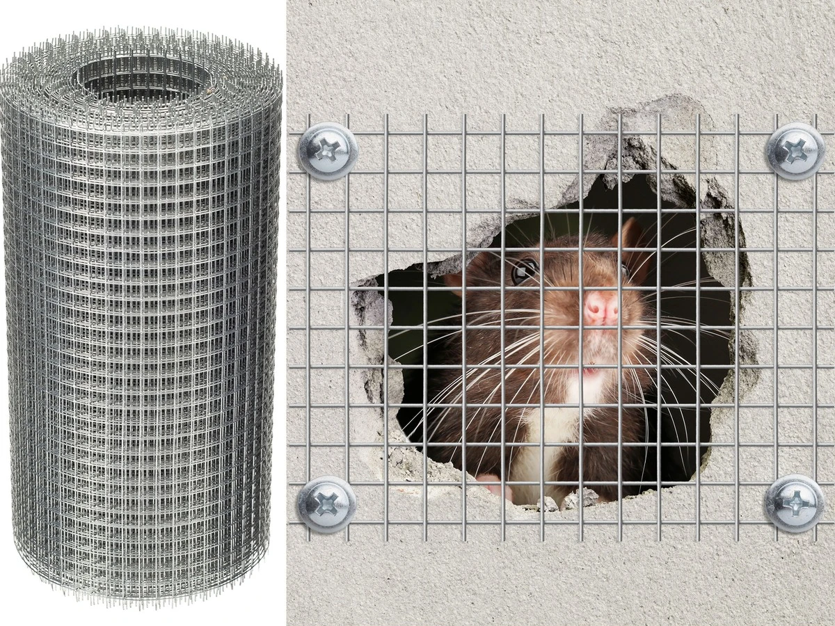 lưới inox chống chuột