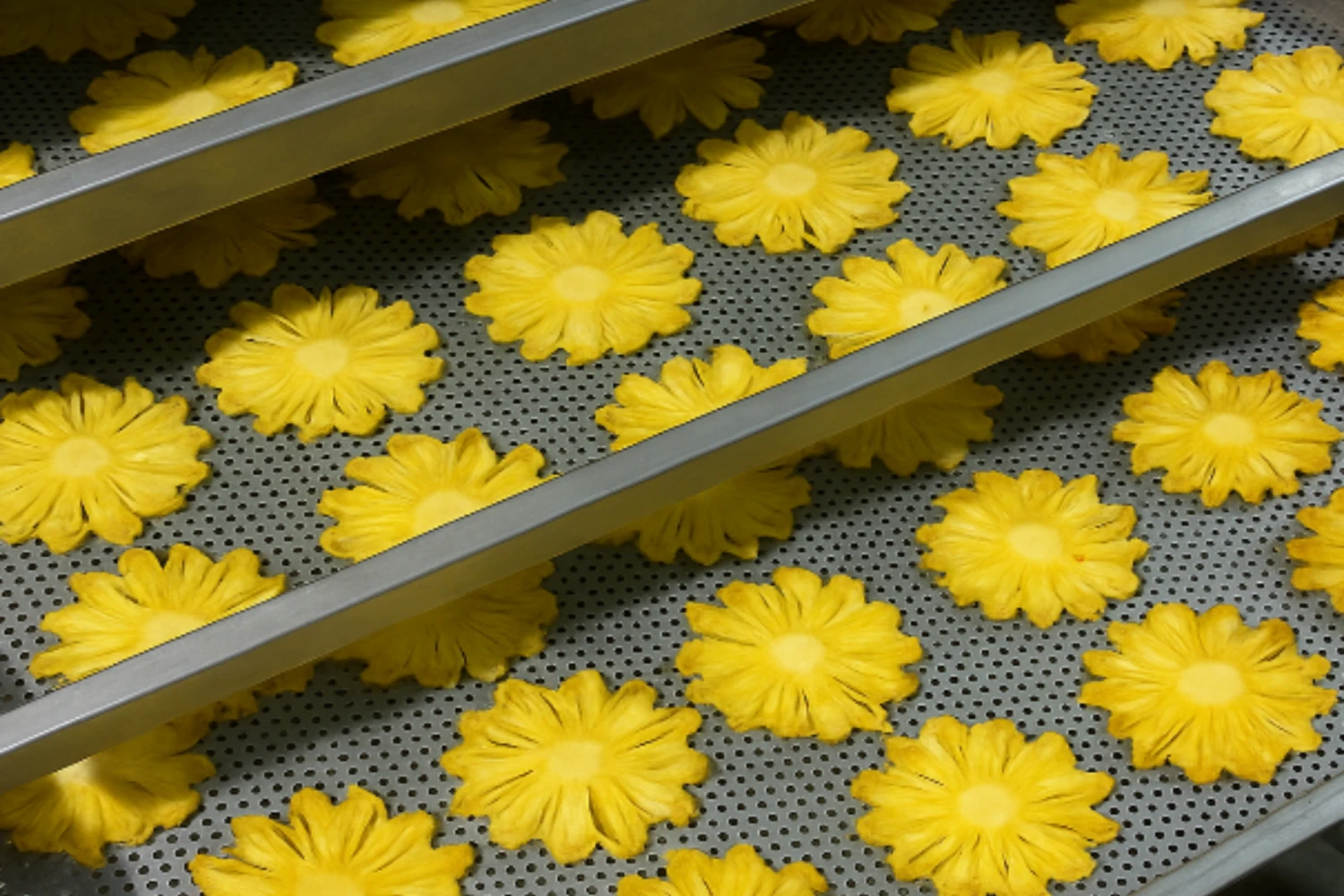 Lưới đột lỗ inox 304