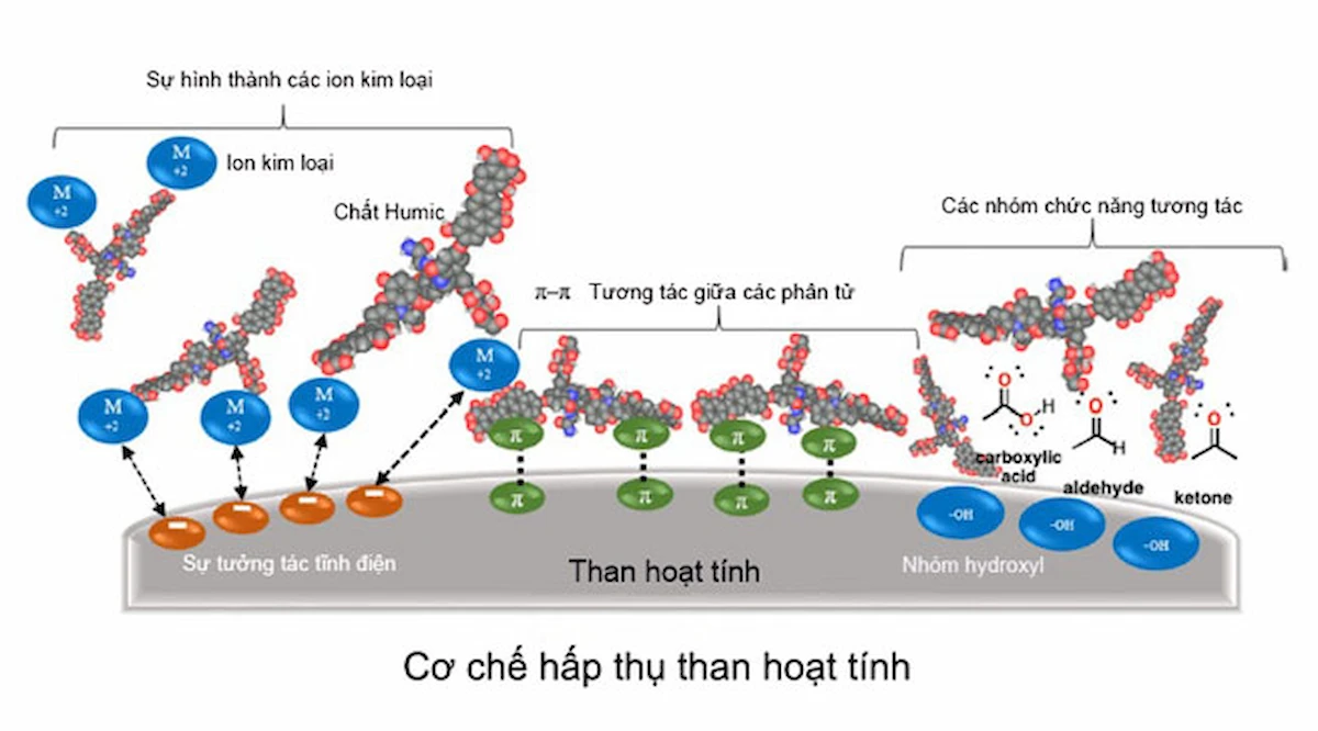 Cơ hết hấp thụ của than hoạt tính gáo dừa Winsun