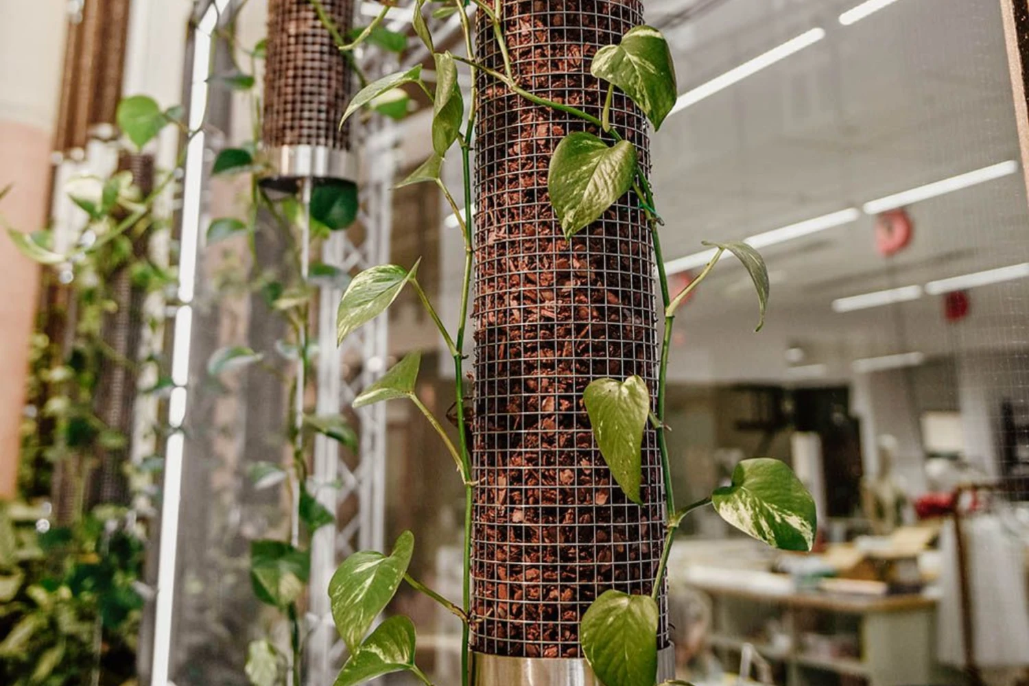 Lưới inox hàn ô vuông