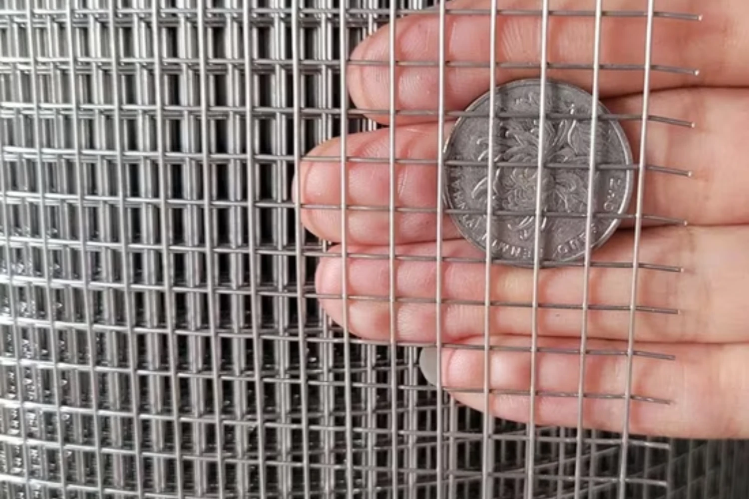 Lưới inox làm aviary