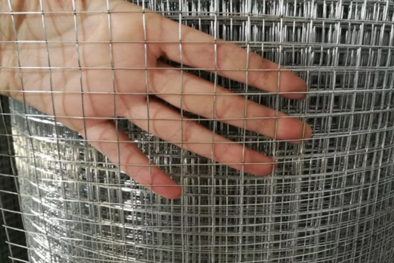 Lưới inox làm aviary