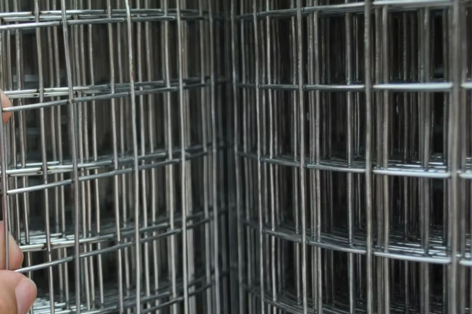 Lưới inox làm aviary