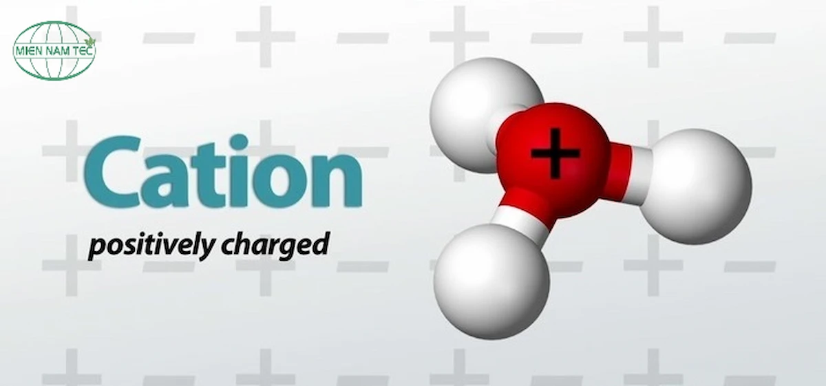 Cation là gì?