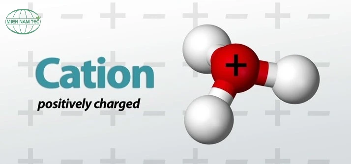 Hạt Cation Là Gì? Tác Dụng Của Hạt Cation Trong Xử Lý Nước
