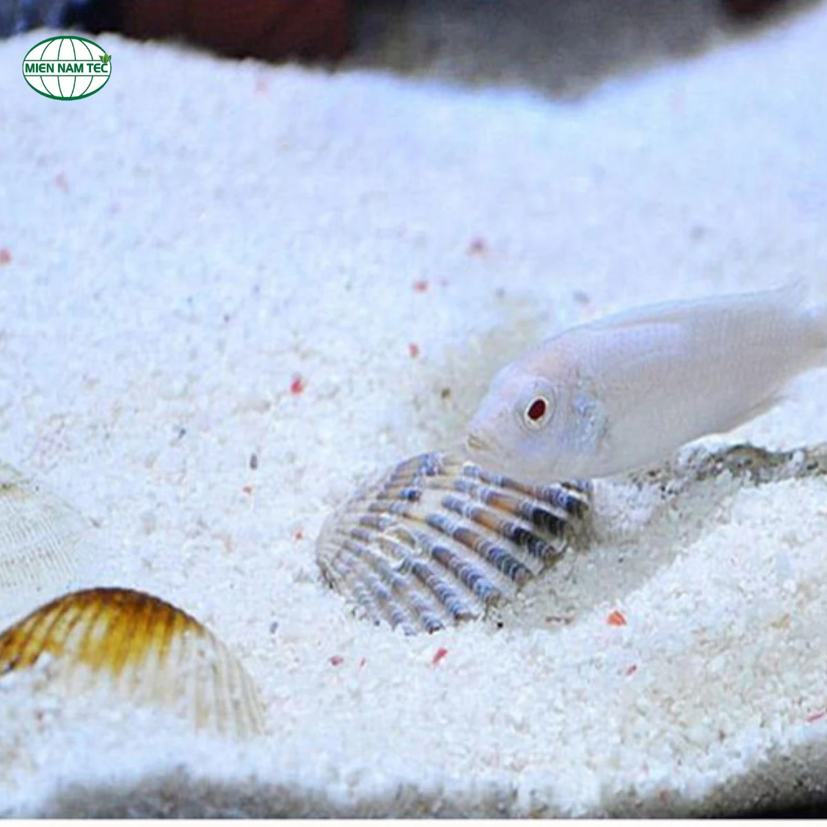 Cát thạch anh trắng được ứng dụng làm gì?