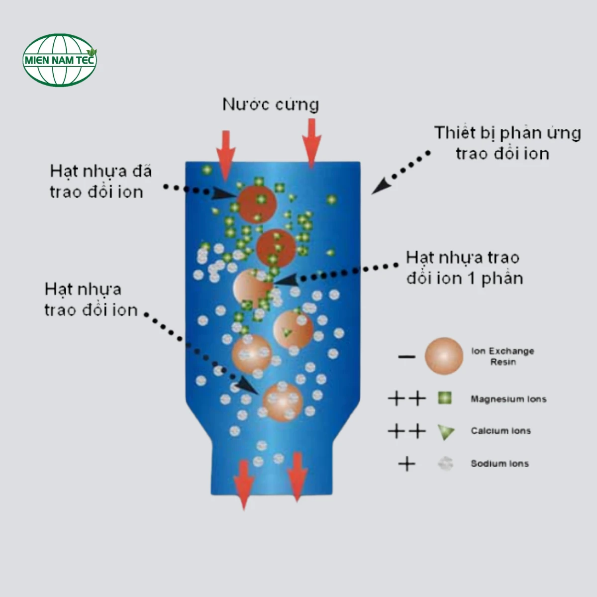 cách hoàn nguyên hạt cation