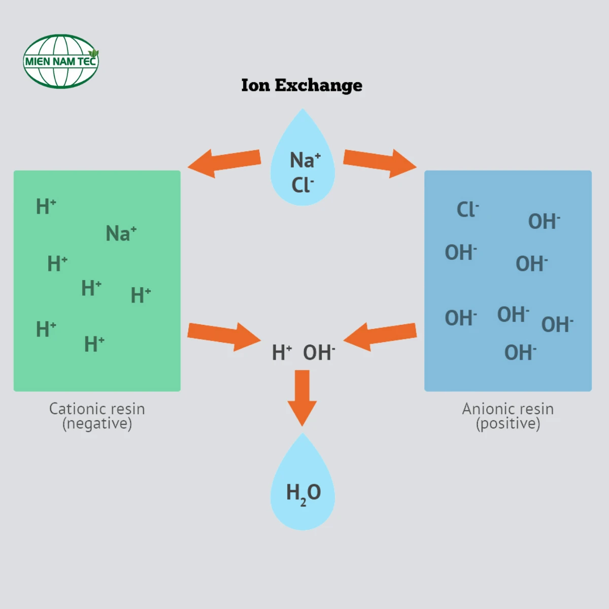 Cấu tạo của hạt anion