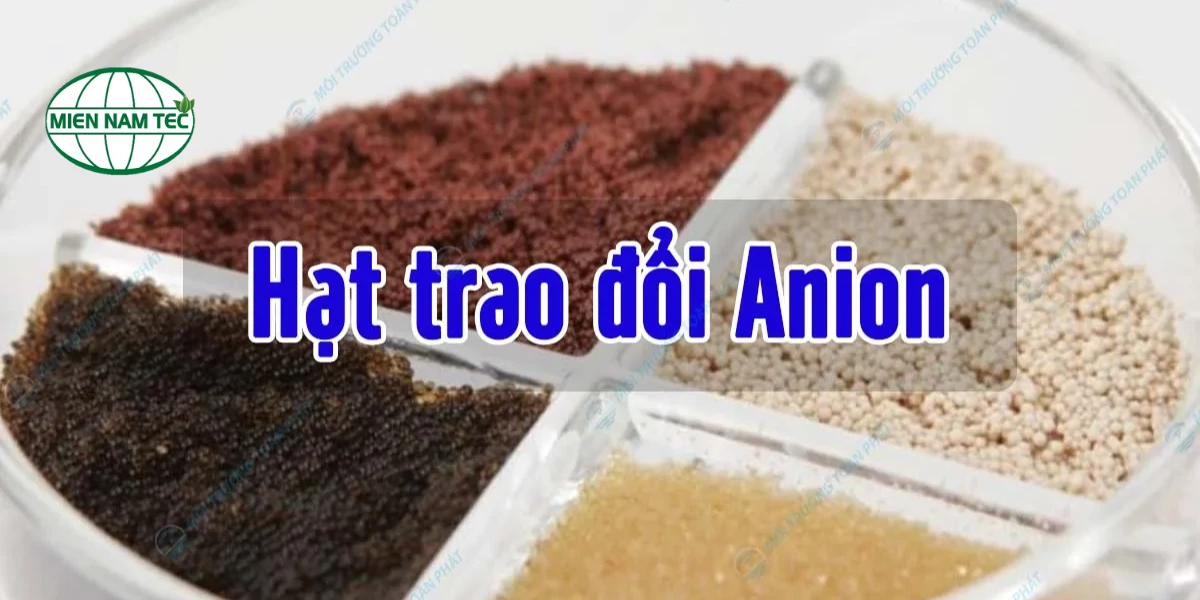 Có mấy loại hạt anion hiện nay?