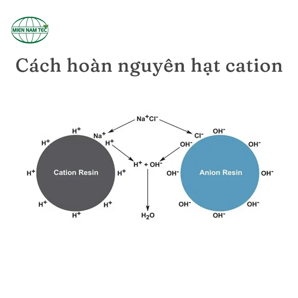 cách hoàn nguyên hạt cation