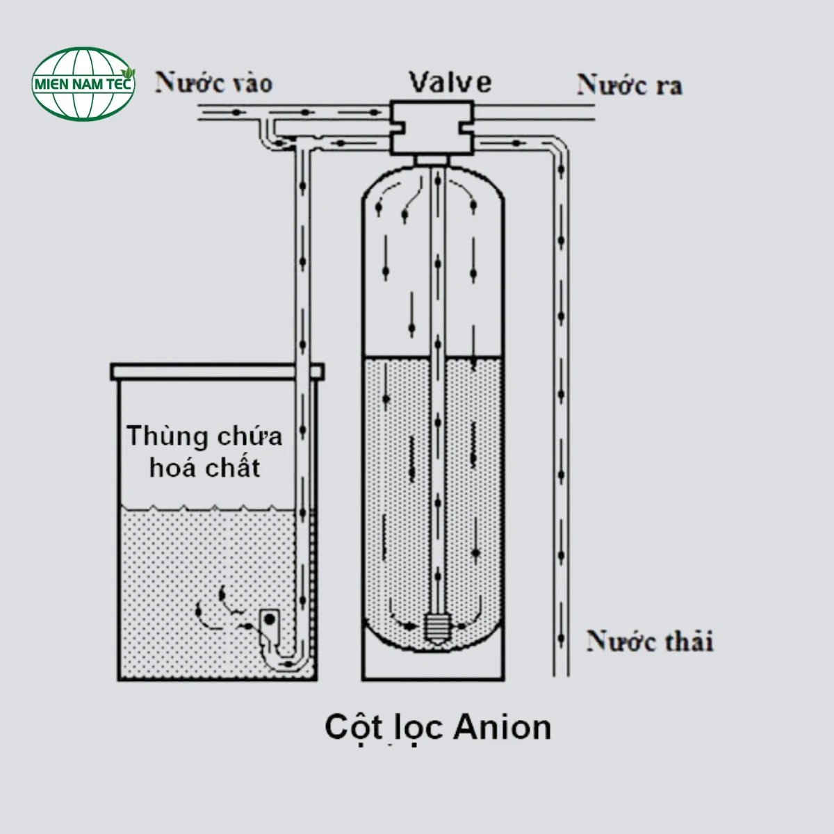 Cơ chế hoạt động của hạt anion
