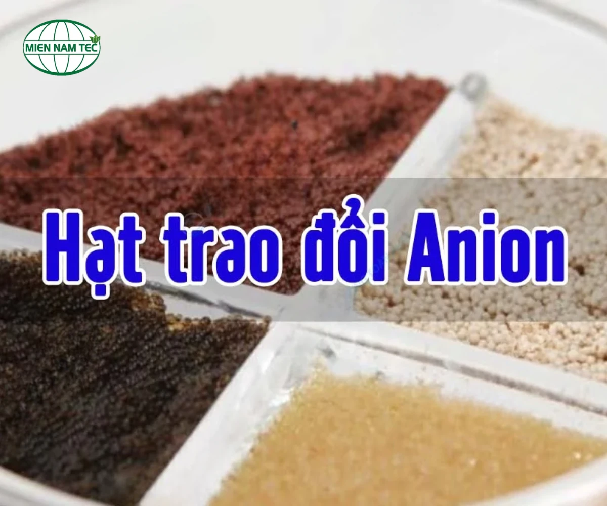 Có mấy loại hạt anion hiện nay?