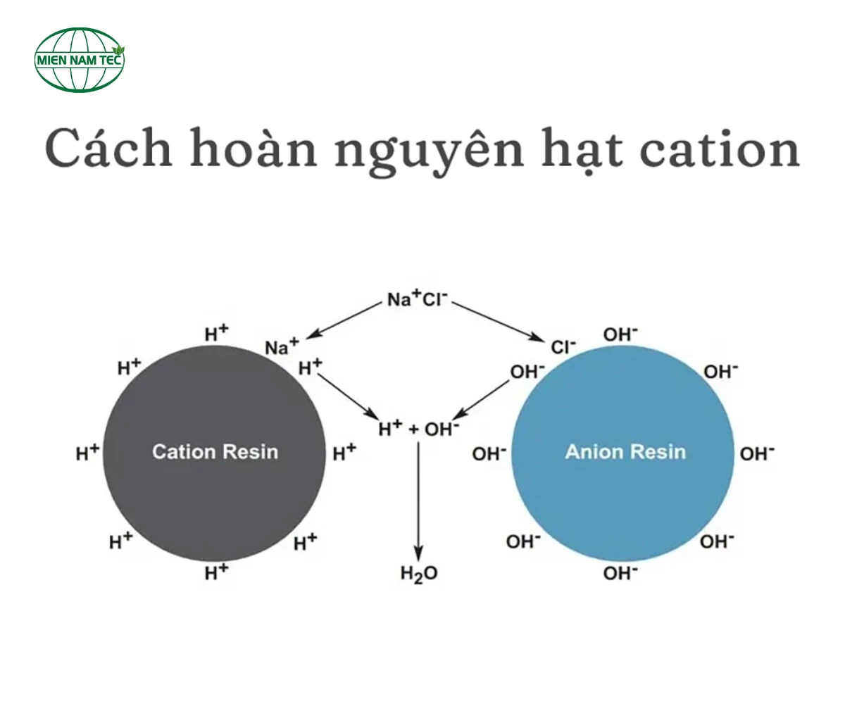 Cách Hoàn Nguyên Hạt Cation Đúng Kỹ Thuật, Hiệu Quả Cao