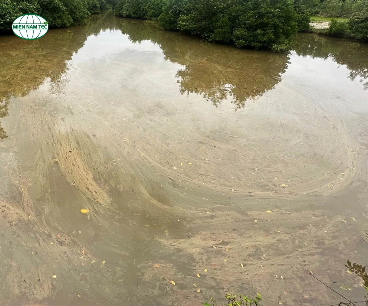 Sự cố tràn dầu 