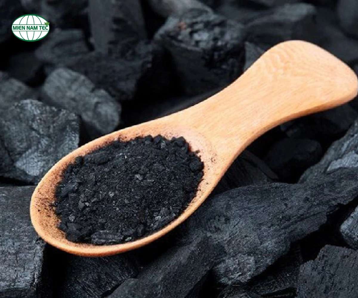 Các Cách Sử Dụng Than Hoạt Tính Khử Mùi Hiệu Quả Nhất