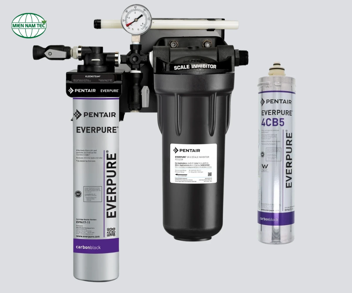Tổng quan về bộ lọc nước Everpure