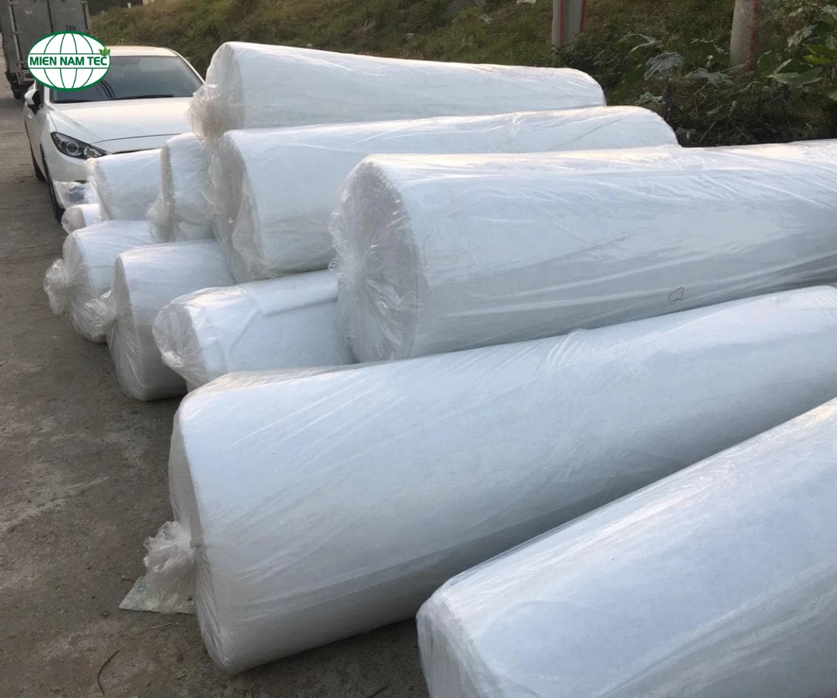 Ưu điểm của bông lọc G2