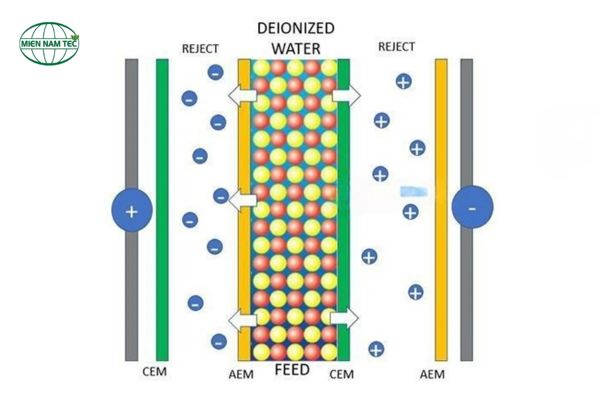 Nguyên lý hoạt động của hệ thống lọc nước EDI