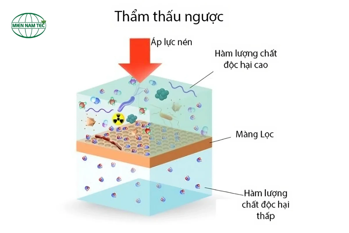 Thẩm Thấu Ngược Là Gì? Nguyên Lý Hoạt Động & Ứng Dụng Thực Tế