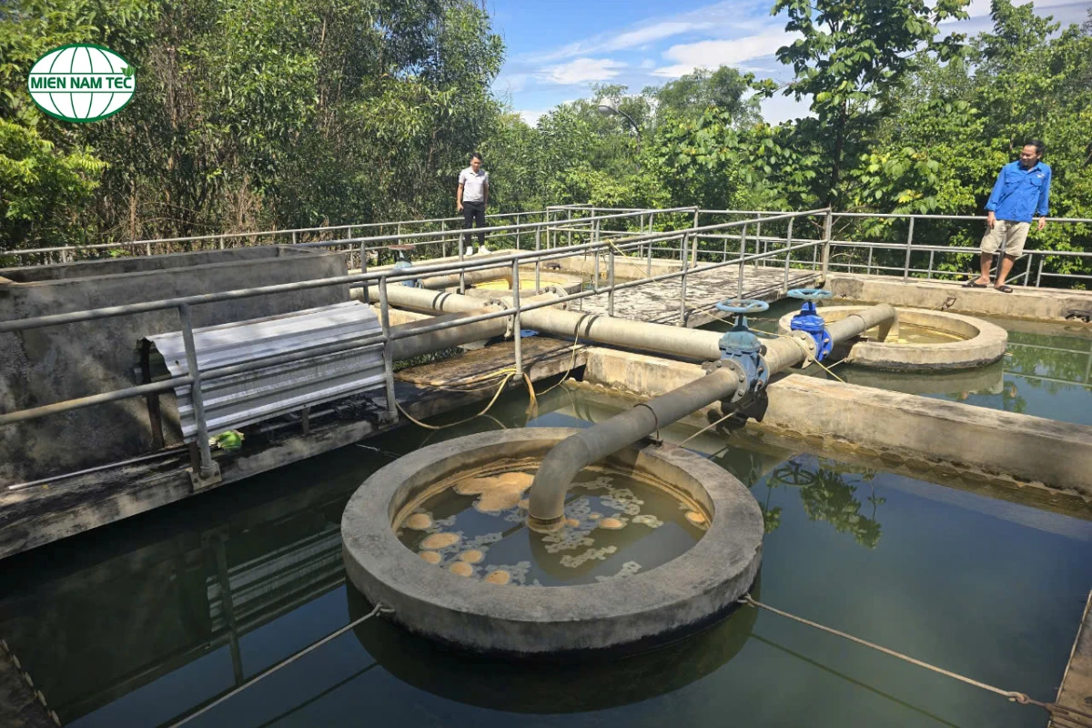 Khám Phá Tiêu Chuẩn Nước Đầu Vào Cho Hệ Thống Siêu Lọc UF