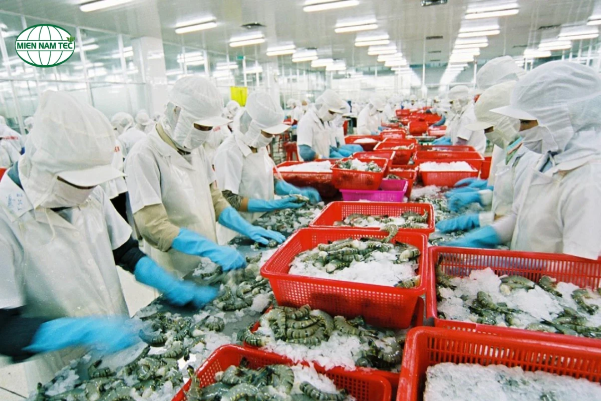 Xử Lý Nước Cấp Cho Ngành Chế Biến Thủy Sản