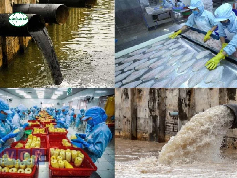 Công Nghệ Xử Lý Nước Thải Chế Biến Thực Phẩm Đạt Chuẩn QCVN