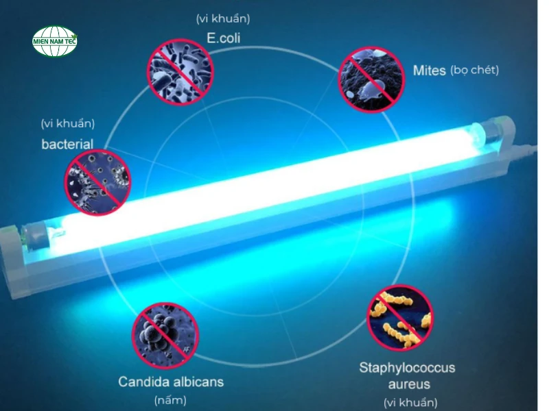 cấu tạo đèn UV