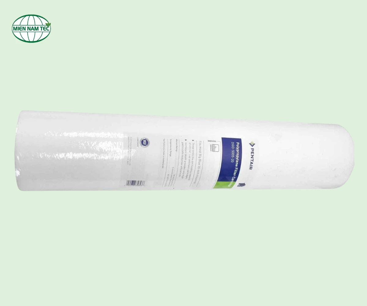 Lõi lọc DGD 5005-20 Pentair