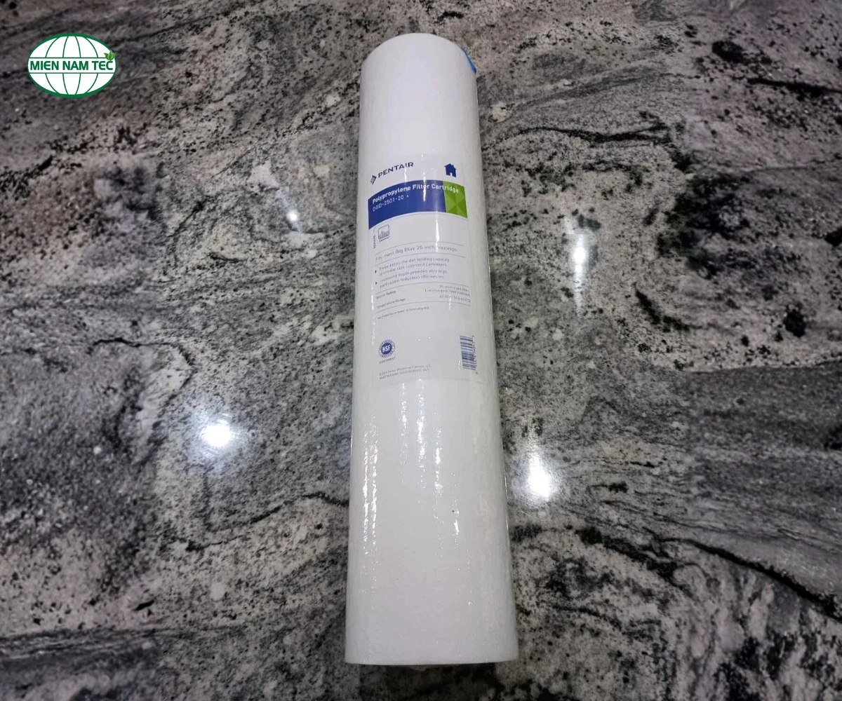 Lõi lọc DGD 2501-20 Pentair