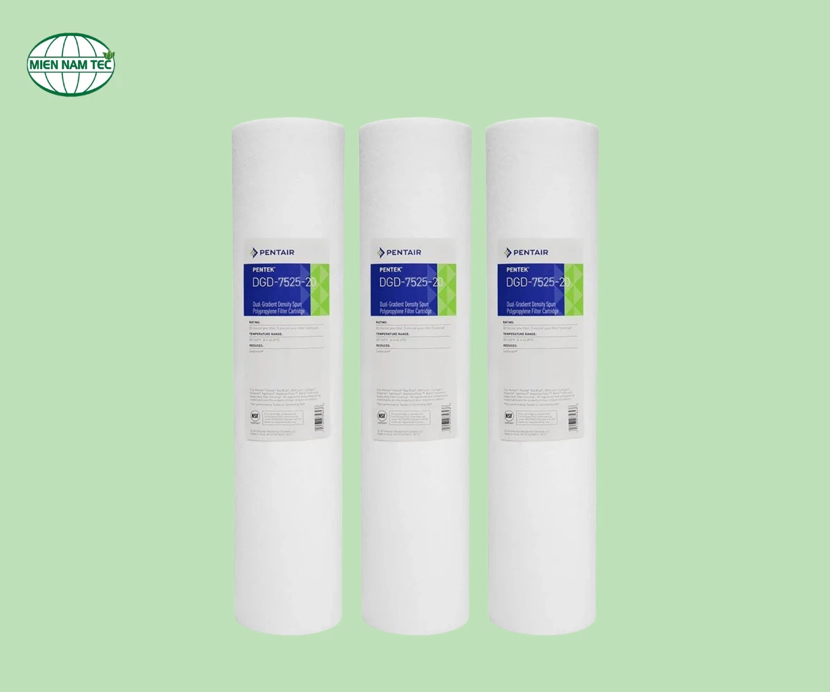 Lõi lọc DGD 7525-20 Pentair