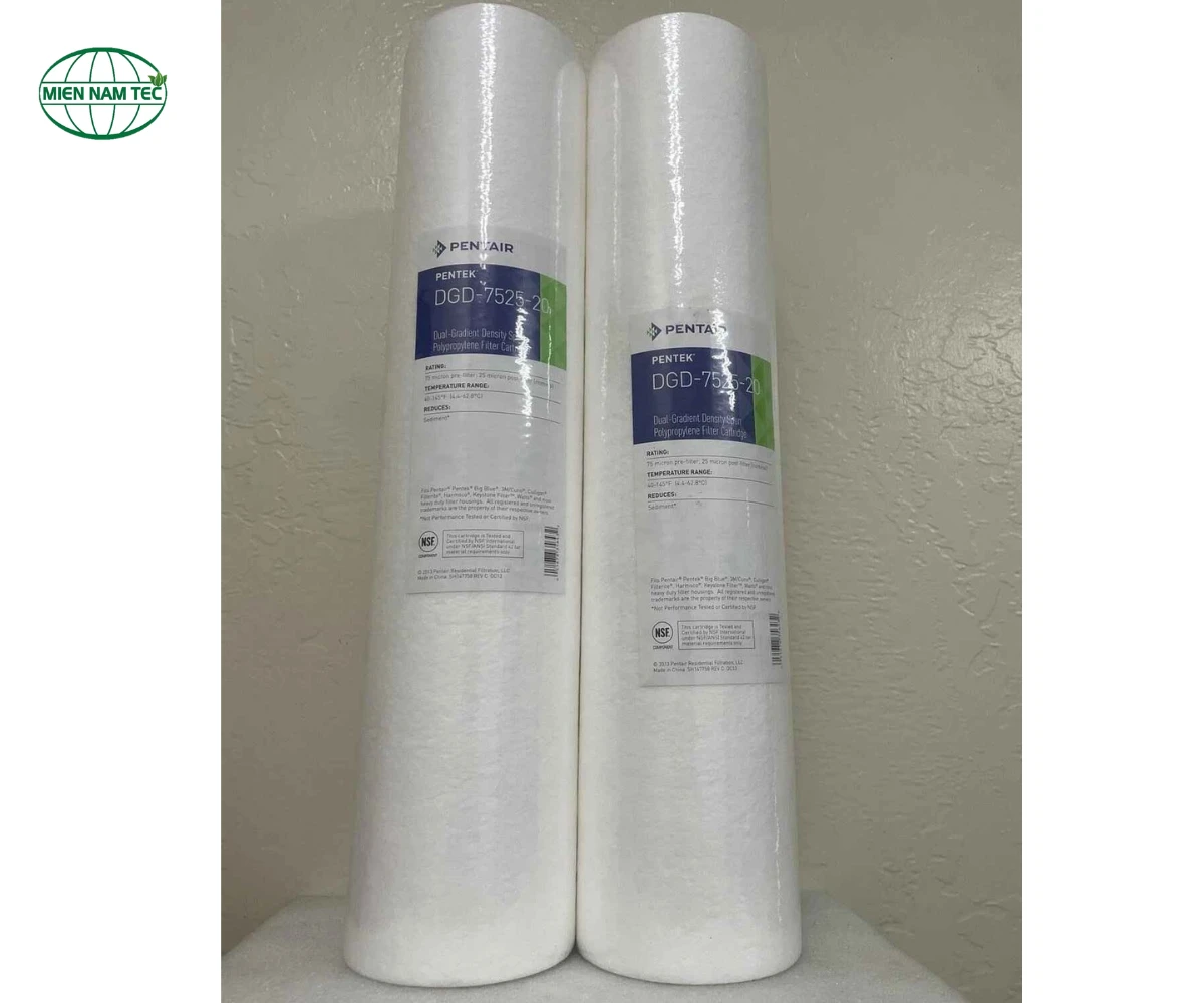 Lõi lọc DGD 7525-20 Pentair