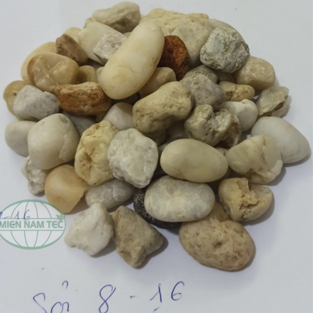 SỎI LỌC