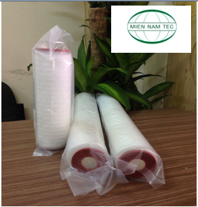 Lõi giấy xếp lọc vi sinh