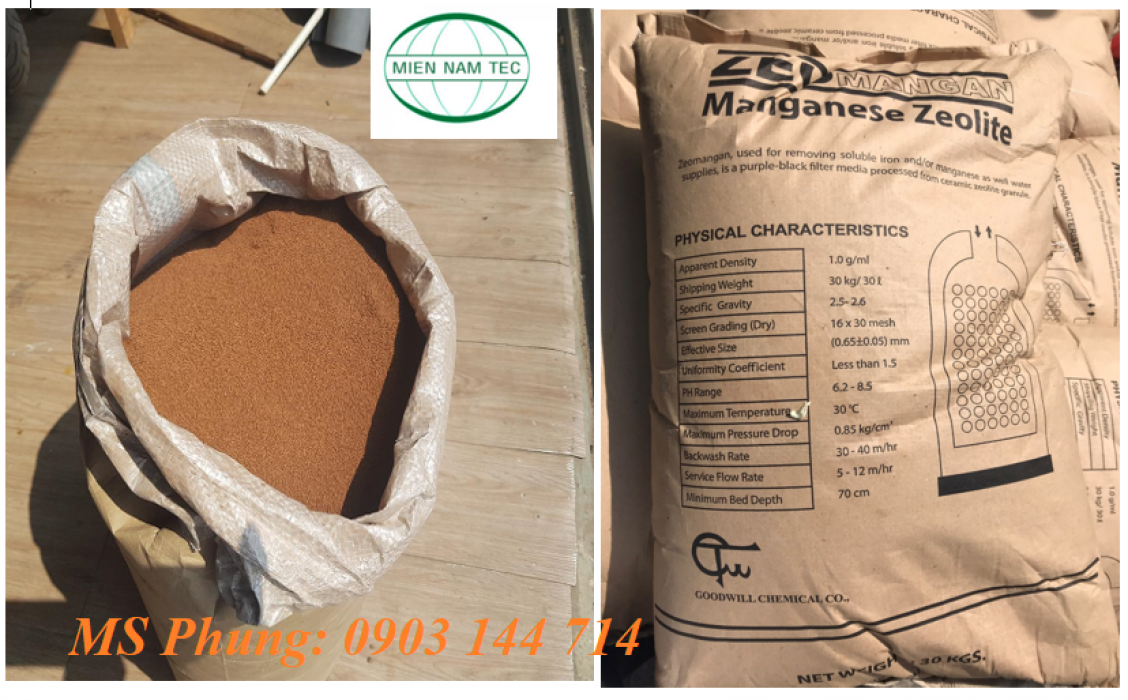 CÁT MANGAN ĐÀI LOAN